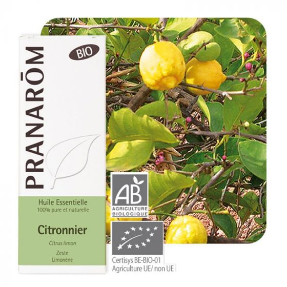 óleo essencial da casca de citrus limon